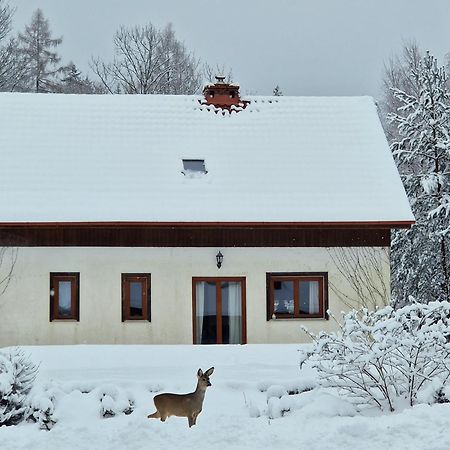 Dom Na Pstraznicy Villa Kudowa-Zdrój Exterior foto