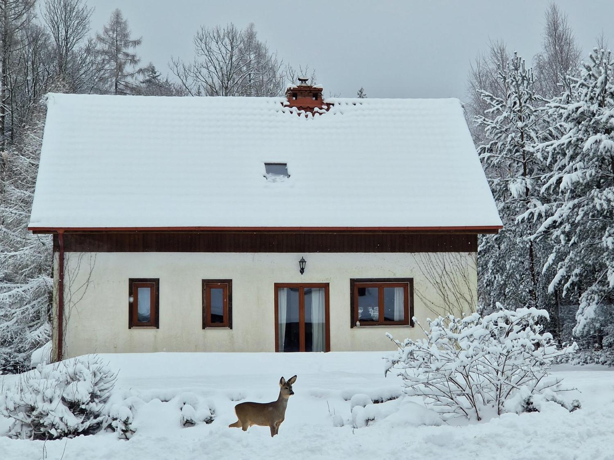 Dom Na Pstraznicy Villa Kudowa-Zdrój Exterior foto