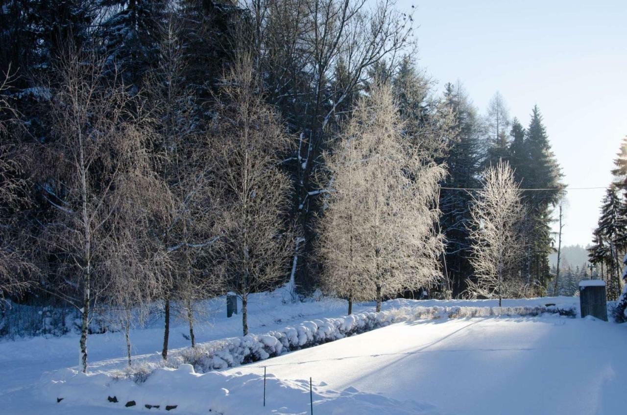 Dom Na Pstraznicy Villa Kudowa-Zdrój Exterior foto